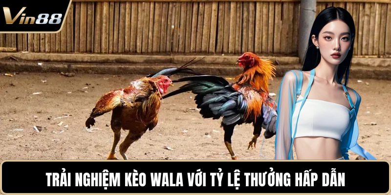 Trải nghiệm kèo Wala với tỷ lệ thưởng hấp dẫn